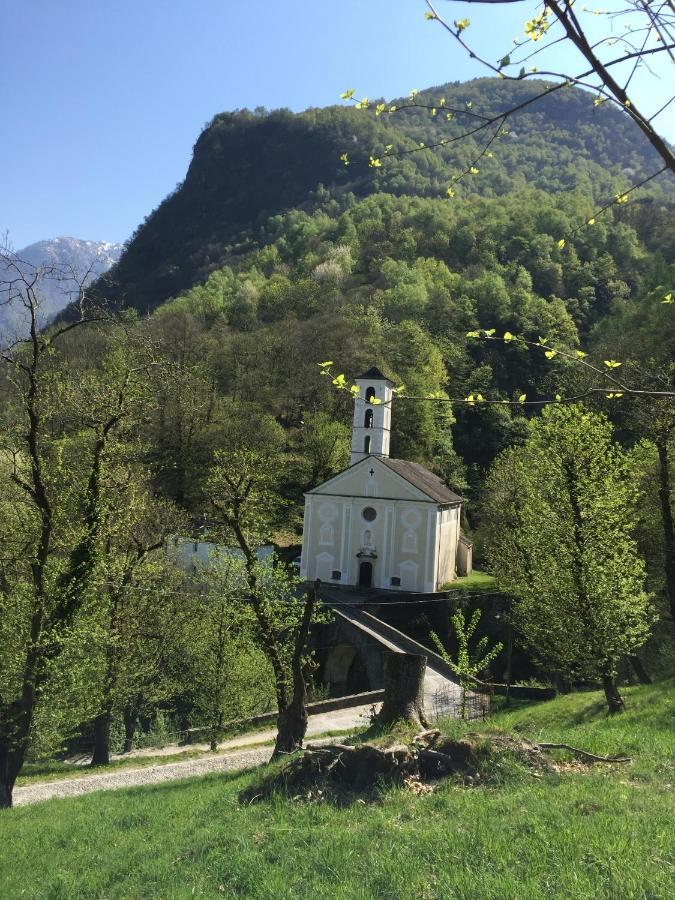 Bnb Sorgente Verde Roveredo エクステリア 写真